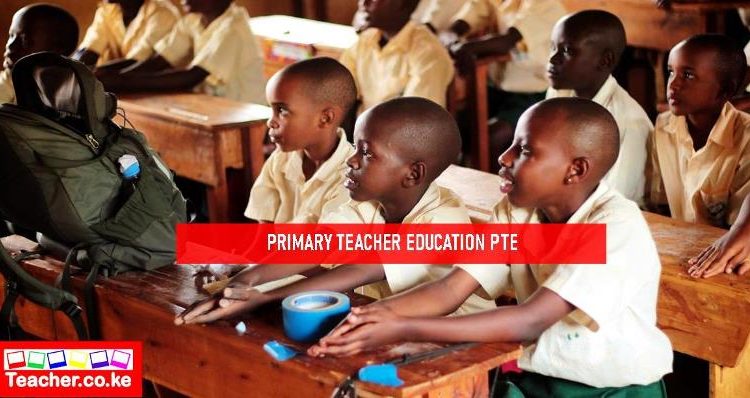Primary Teacher Education (PTE)