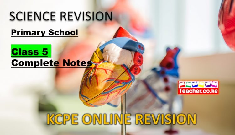 Science Revision Class 5 Complete Notes.