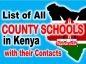 Updated list of all Extra County Secondary Schools, School Type, and ...