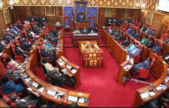 The Kenyan Senate