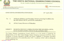 How To Download KNEC KCPE Examination Results Slip Online - Teacher.co.ke