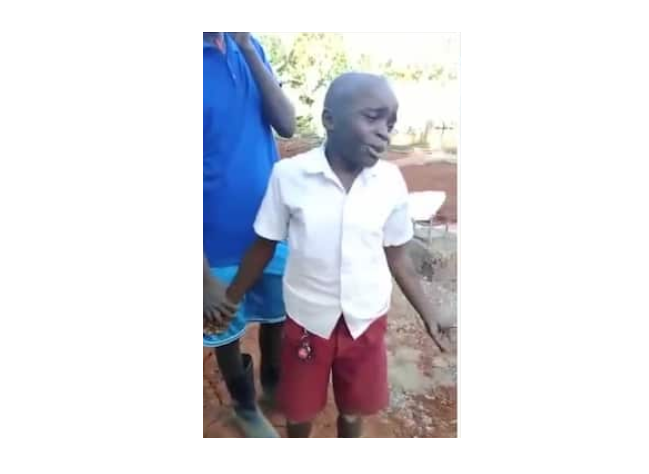Government Probes Viral Video of Schoolboy Pleading For Help After Mistreatment