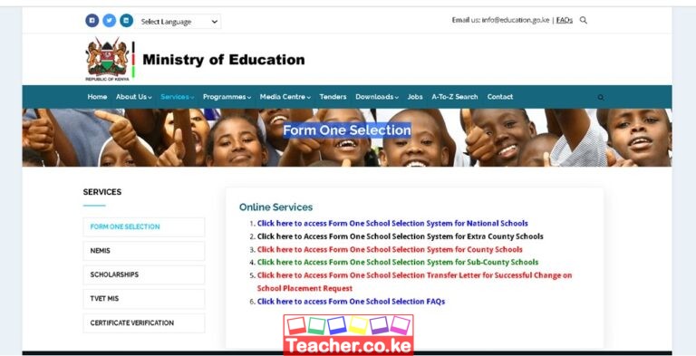 How to Check 2024 Form One Selection Results, and Download Admission ...