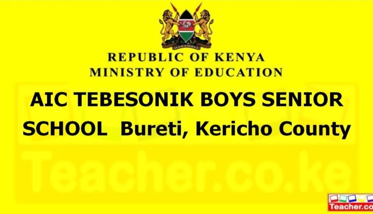 Aic Tebesonik Boys Senior School - Kericho