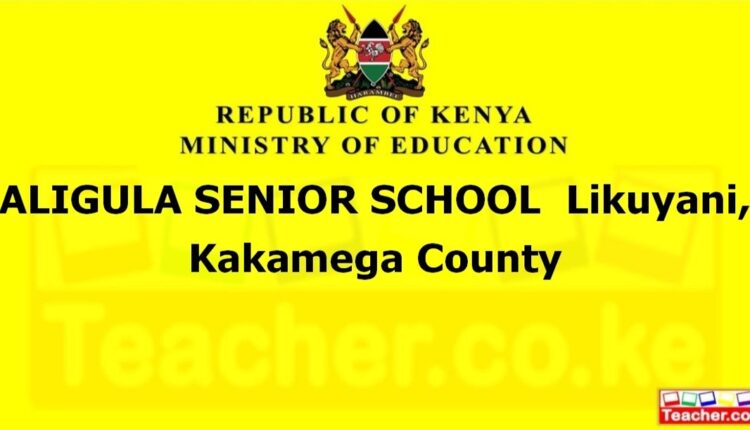 Aligula Senior School - Kakamega
