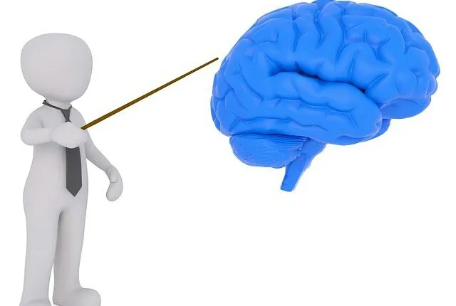 Innovative Ways Of Teaching Biology 