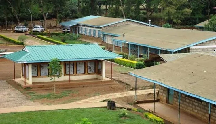 Nkubu High School KCSE 2019 Results