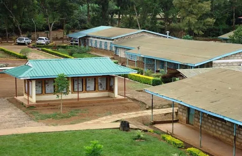 Nkubu High School KCSE 2019 Results