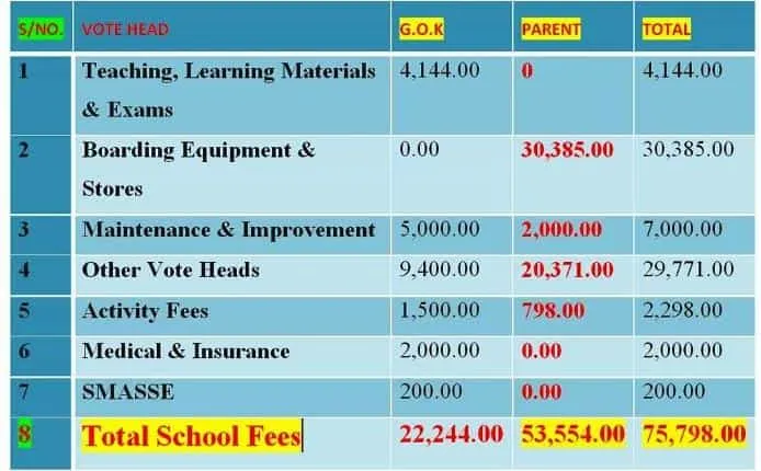 Secondary Schools 2020 Fees Structure for National Schools, Extra-County, County, Sub-County and Day Schools