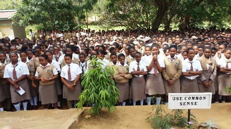 KCSE 2019 Results: Mwatate, Taita Taveta County Top Schools