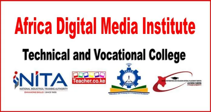 Africa Digital Media Institute 