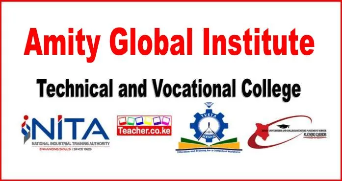 Amity Global Institute