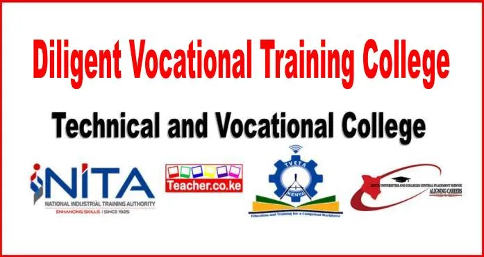 Diligent Vocational Training College
