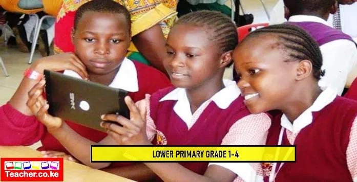 Pre Primary 2 Term 3 Assessment Test Exam 2021