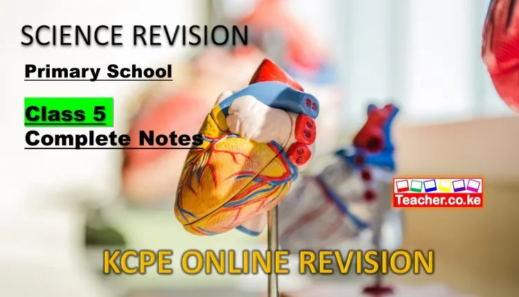 Science Revision Class 5 Complete Notes.