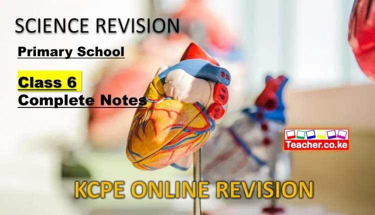 Science Class 6 Summary Notes