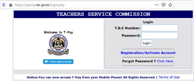 TSC online payslip details