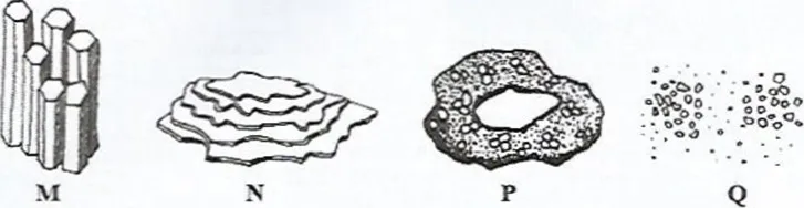 020621 1707 2019KCSEAGR3