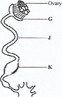 020621 1707 2019KCSEAGR4