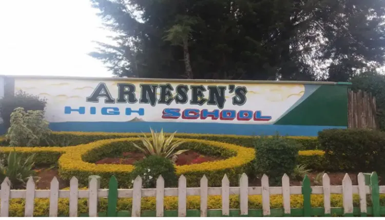 Arnesens High School Closed