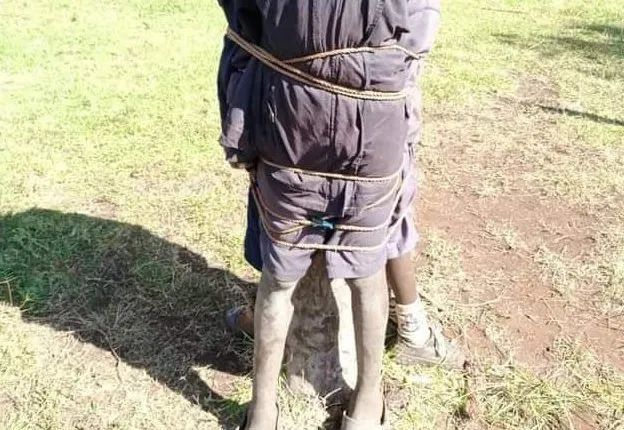 The Three Learners Tied To A Tree
