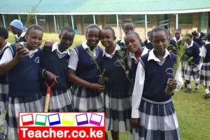 A group of school girls