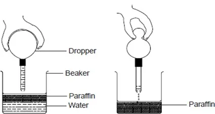 050422 2005 SIMPLECLASS11