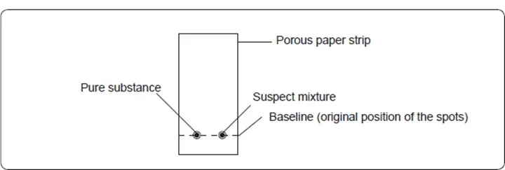 050422 2005 SIMPLECLASS19