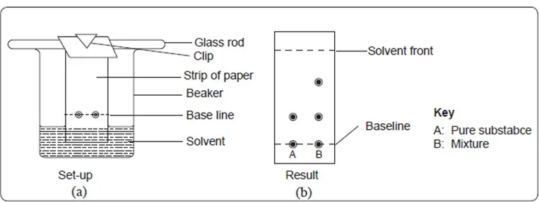 050422 2005 SIMPLECLASS20