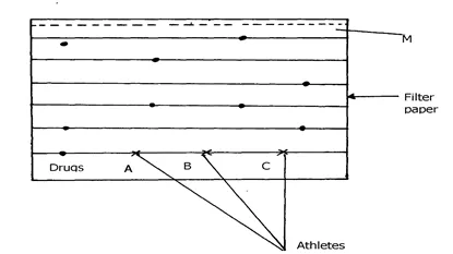 050422 2005 SIMPLECLASS24