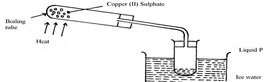 050422 2005 SIMPLECLASS55