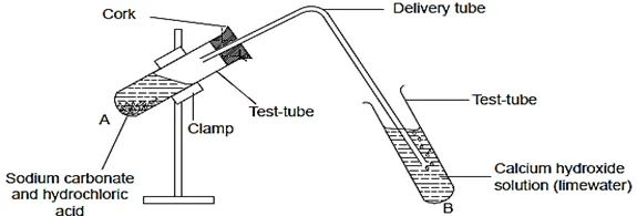 060222 1745 ACIDSBASESA11