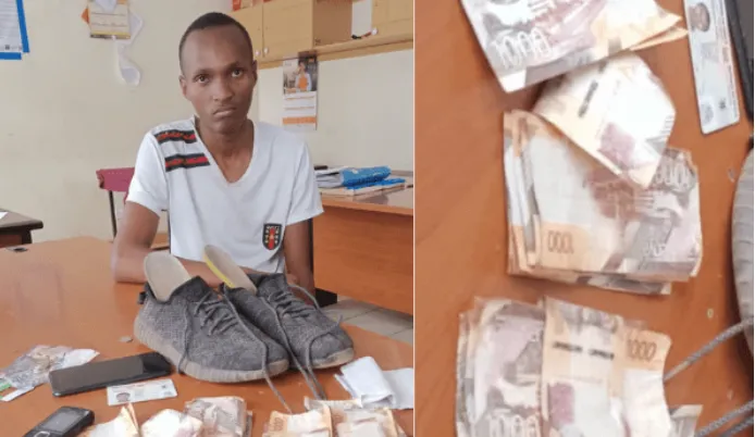 Students fakes his kidnapping, cons his parents only to be betrayed by a woman who spiked his drink