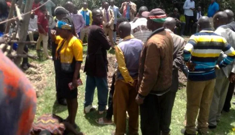 312027952 1365610283969459 7188212898200884502 N