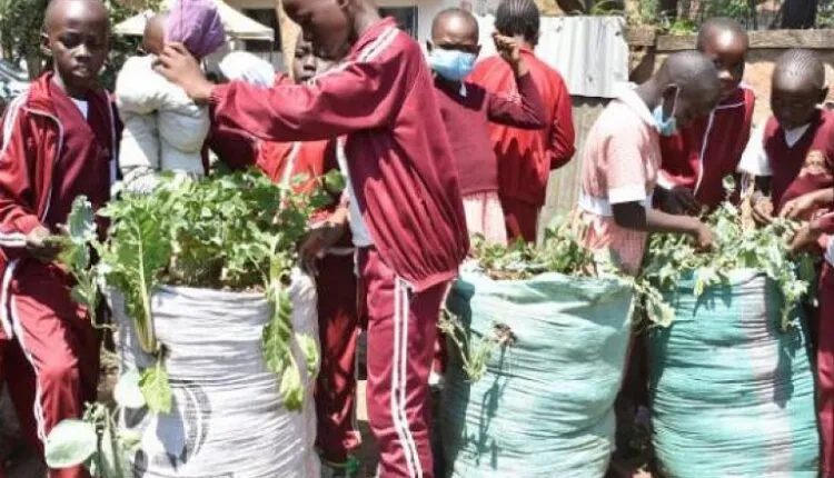 Arya Primary School pupils during an outdoor session