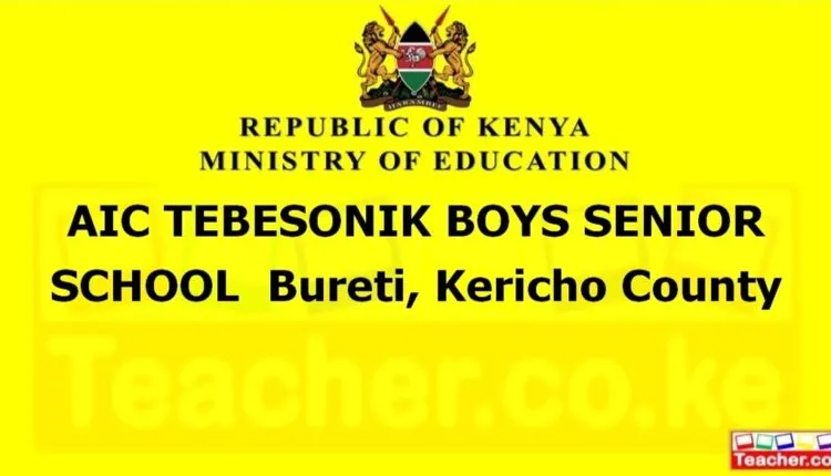 Aic Tebesonik Boys Senior School - Kericho